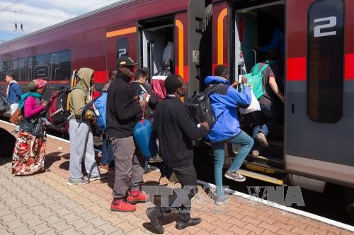 Migrants : la Roumanie refuse les quotas - ảnh 1